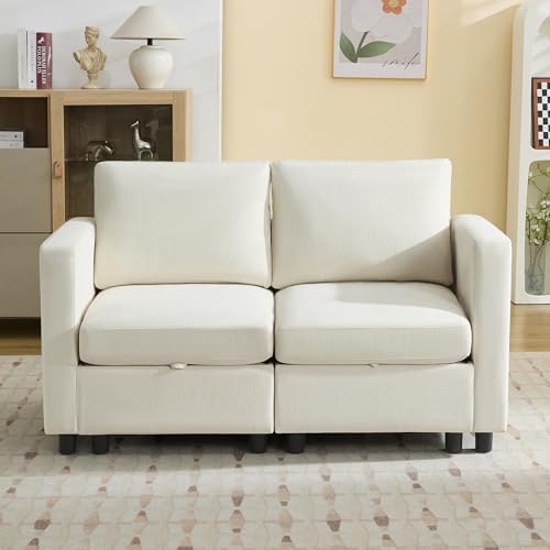 WUTUTUEE 58'' Modular Sectional Loveseat Sofa, Modern Love Seat 2 Seater Sofa by WUTUTUEE