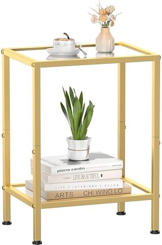 Glass Side Table, Tempered Glass End Table, 2-Tier Nightstands by HOME