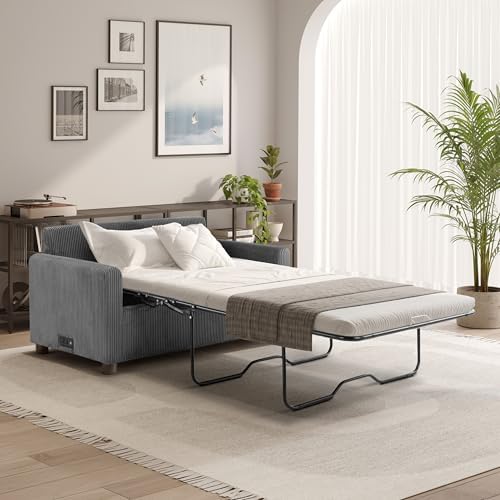 Serta® Darnold 53.5" Pull-Out Sleeper Loveseat, Twin Size, Dreamcoil® Comfort by SertaDreamConvertibles