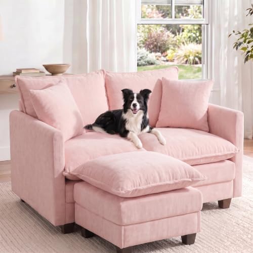 2-Seater Loveseat Sofa with Ottoman, Pet-Friendly Chenille, Washable Pillows by Unknown