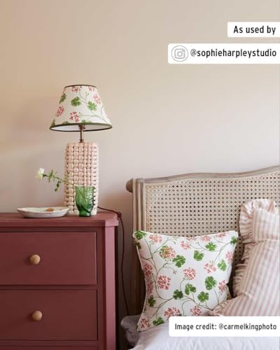 Annie Sloan Chalk Paint® a unique decorative paint - Image 4
