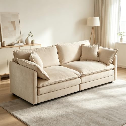 Tmsan 76.7" Loveseat Sofa 2 Seater Cloud Couch, Small Love Seat Sectional by TmsanHomeKitchen