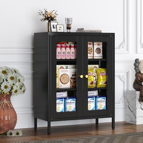 Black Metal Bathroom Glass Storage Cabinet, 2 Doors by LTLTSOBUMetalCabinet