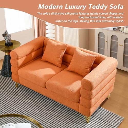 mikibama Modern Teddy Loveseat Sofa, 60 Inch Sectional Sofa Couch, Luxury 2 - Image 6