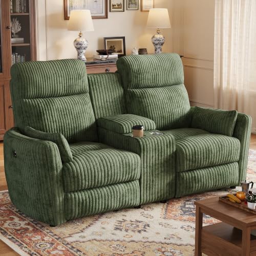 LINSY Modular Loveseat Recliner Sofa, 2-Seater Recliner Sofa by Linsy
