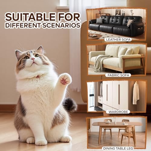 JKLMN Clear Vinyl Cat Scratch Protector - Image 6