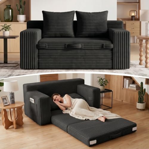 Boneless Loveseat Sofa Bed, Tri-Folding Convertible Futon Sleeper by FelizHome