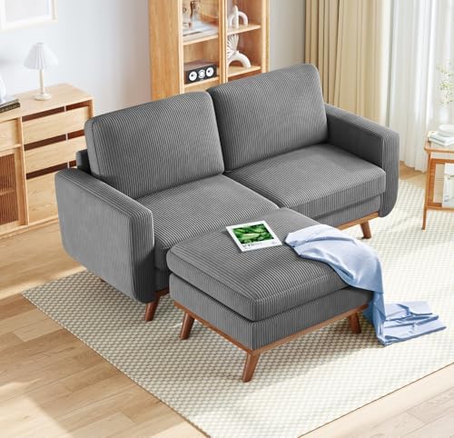 Vesgantti 68" Loveseat Sofa by Vesgantti