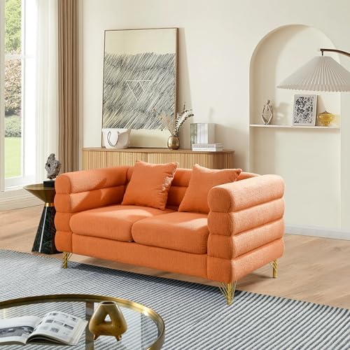 mikibama Modern Teddy Loveseat Sofa, 60 Inch Sectional Sofa Couch, Luxury 2 by Mikibama