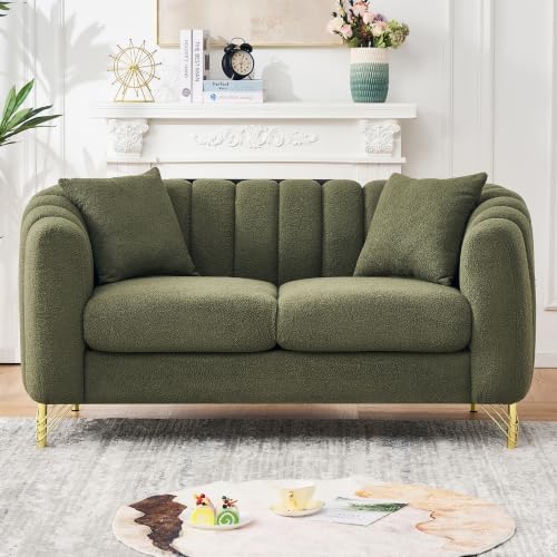 61.5" Oversized Modern Loveseat Sofa, Teddy Tufted Couch by Kolavess