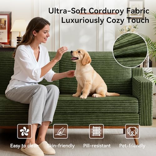 Vipbear 65.4" Loveseat Sofa, Mid-Century Modern Small Couches - Image 3