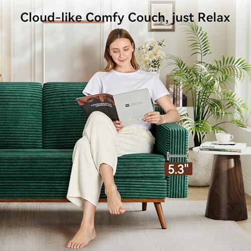 Vipbear 65.4" Loveseat Sofa, Mid-Century Modern Small Couches - Image 6