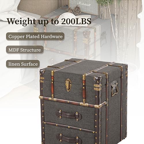 Aoikax Vintage Storage Chest - Image 4