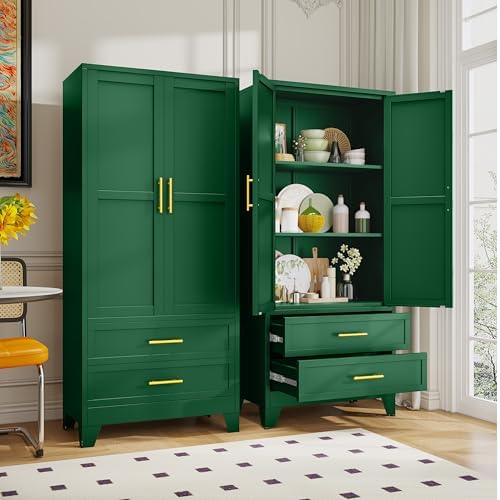 GAIOUS Steel Pantry Cabinet by GAIOUS