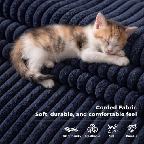 MAXYOYO Folding Sofa Bed with Backrest, Boneless Fold Out Couch with Handle - Image 6