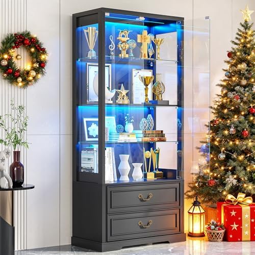 TAGELIER Display Cabinet with Glass Doors and LED Lights, 2 Drawers by TAGELIER