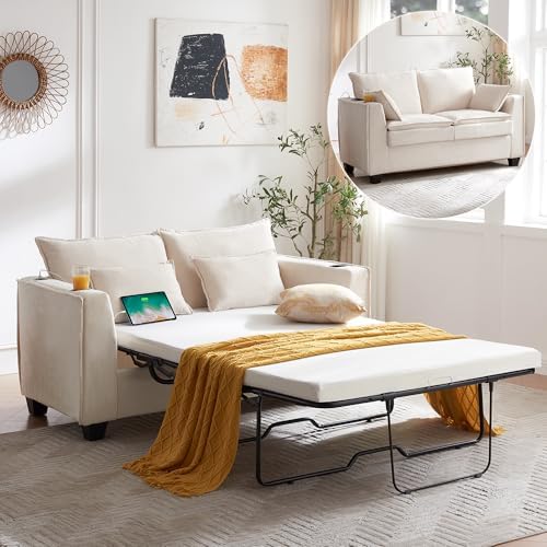 Brelice Pull Out Sofa Bed, Sleeper Sofa Couch, 2-in-1 Convertible Chenille by BreliceHome