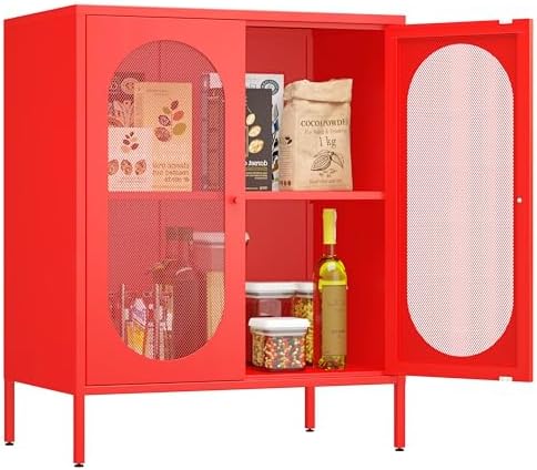 2 Door Accent Cabinet, Metal Storage Cabinet by Fumedo