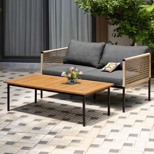 Idzo Oscar Wicker Metal Loveseat - Image 2