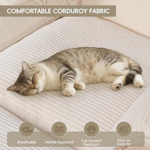 2Pcs Cloud Sectional Couch Sets, Convertible Modular Sofa. Beige - Image 4