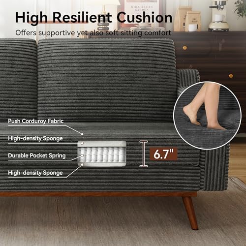 Vipbear 65.4" Loveseat Sofa, Mid-Century Modern Small Couches - Image 5