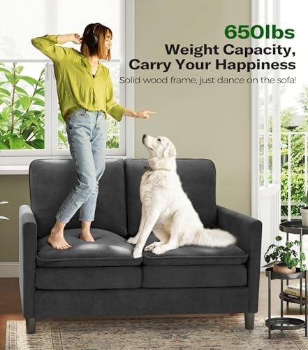 Welzona 3-Layers Cloud Loveseat Sofa, Teddy Small Sofa - Image 5