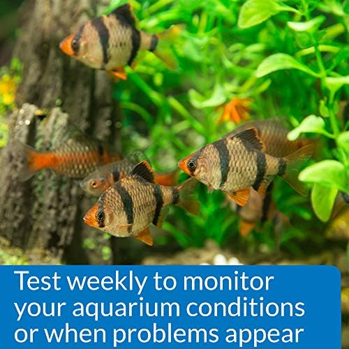 API Phosphate Test Kit For Freshwater And Saltwater, 64 OUNCES - Image 5