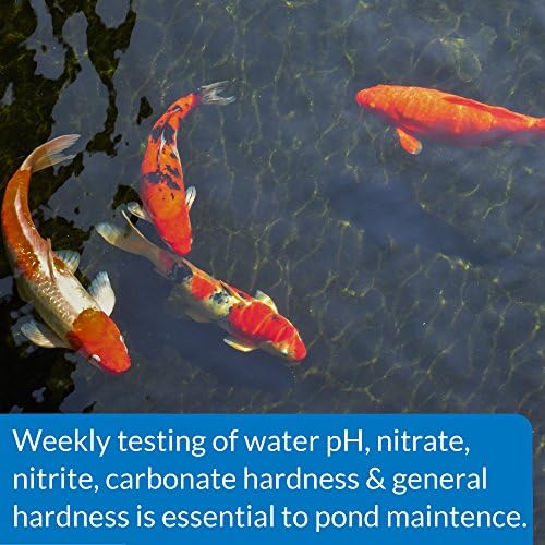 API POND 5 IN 1 POND TEST STRIPS Pond Water Test Strips 25-Count - Image 3