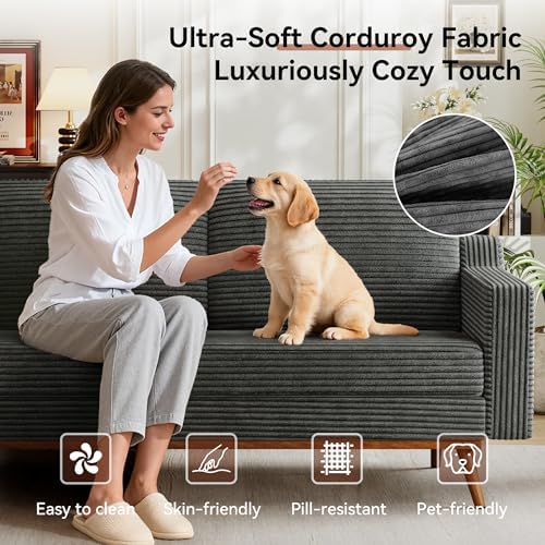 Vipbear 65.4" Loveseat Sofa, Mid-Century Modern Small Couches - Image 3