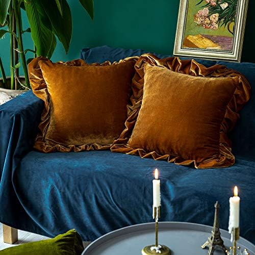 Glory Season Velvet Throw Pillow Cover Soft Decorative Luxurious Solid Square by GLORYSEASON