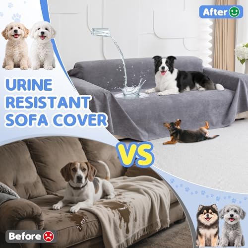 Loiion 100% Double-Sided Waterproof Dog Sofa Cover - Image 2