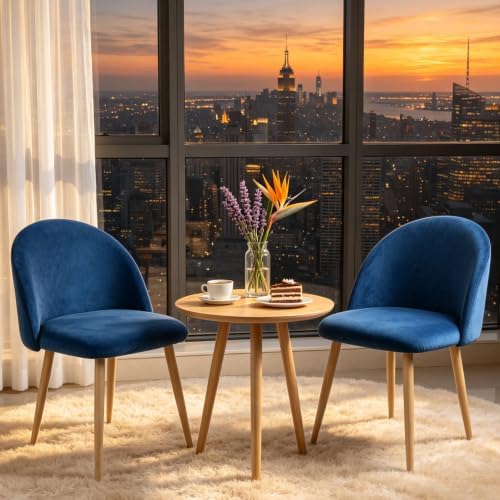 Lightdot Dining Chairs Set of 2, Mid Century Modern Velvet Kitchen Chairs by LightdotLighting
