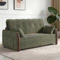 64.56" Pull Out Sofa Bed with Storage, Convertible Sleeper Sofa Green by DinaiteEain