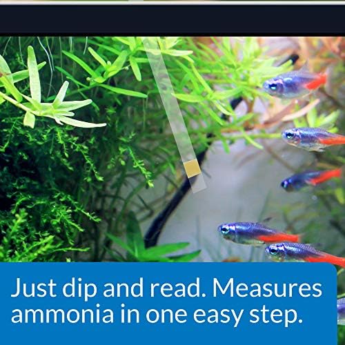 API AMMONIA TEST STRIPS Freshwater and Saltwater Aquarium Water Test Strips - Image 3