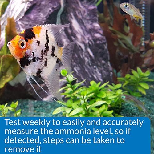 API Ammonia 130-Test Freshwater and Saltwater Aquarium Water Test Kit - Image 4