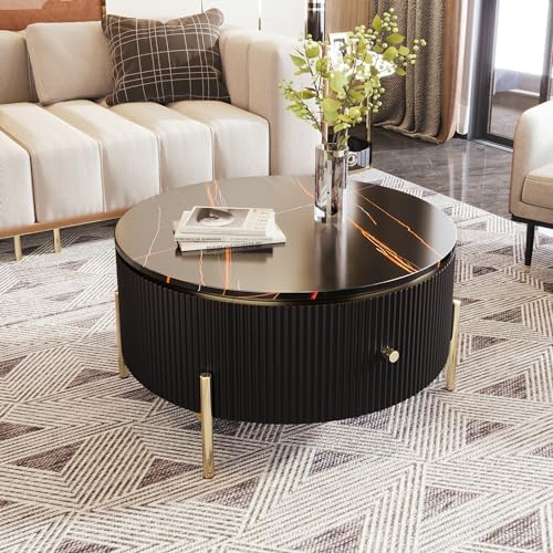 31.5" Coffee Table with 2 Storage Drawers, Round Side Table, Circle Accent by SCANORDIC