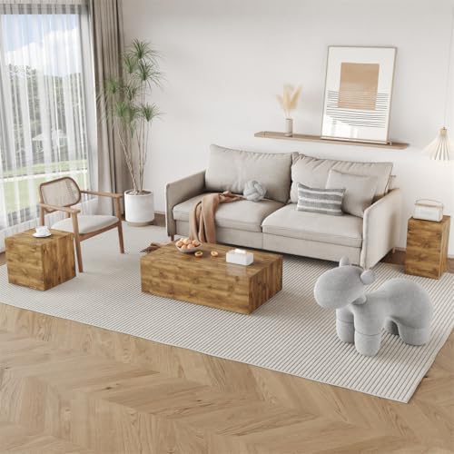 Coffee Table Set of 3 for Living Room by BAOPIN