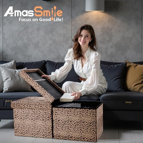 AmasSmile Footrest Ottoman Storage Bench - Image 4