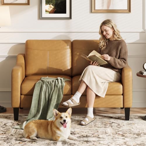 MALOL 51" Leather Loveseat Sofa - Image 3
