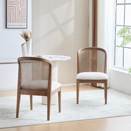 Christopher Knight Home Lilia Dining Chairs Set of 2, Modern Dining Chair by ChristopherKnightHome