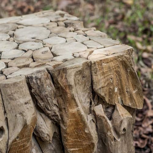 Uttermost Teak Root - Image 4