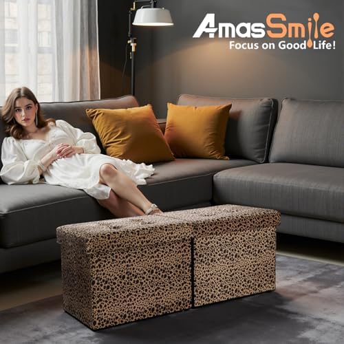 AmasSmile Footrest Ottoman Storage Bench - Image 6