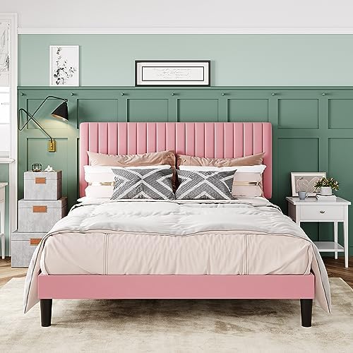 Allewie Queen Bed Frame, Velvet Upholstered Platform Bed by Allewie