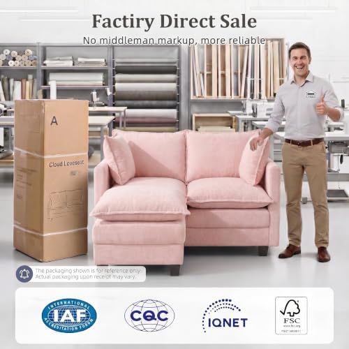 2-Seater Loveseat Sofa with Ottoman, Pet-Friendly Chenille, Washable Pillows - Image 6