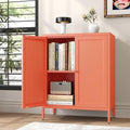 Small 2 Door Metal Storage Side Buffet Cabinet by Fumedo