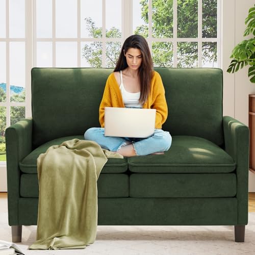 Welzona 3-Layers Cloud Loveseat Sofa, Teddy Small Sofa by WelzonaDirect