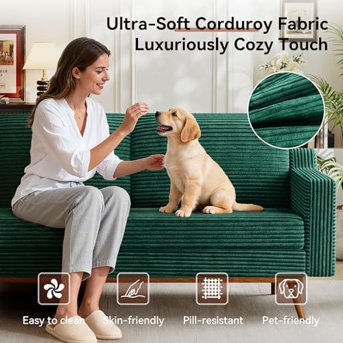 Vipbear 65.4" Loveseat Sofa, Mid-Century Modern Small Couches - Image 3