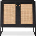 Best Choice Products 2-Door Rattan Storage Cabinet, Accent Furniture, Buffet by BestChoiceProducts