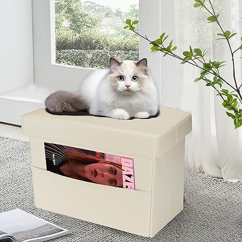 AmasSmile Ottoman with Storage - Image 2