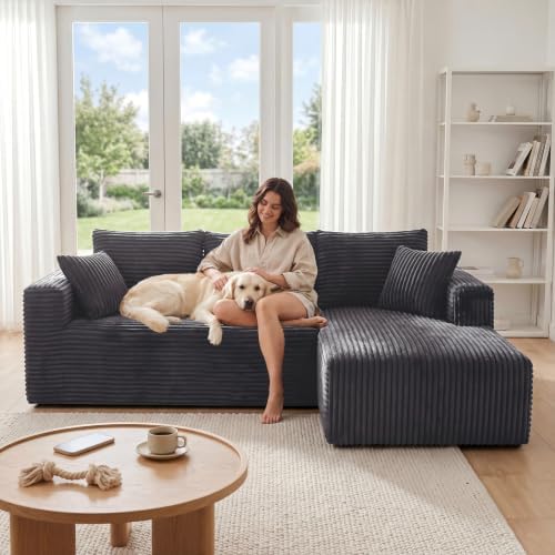 92.5" Modular Sectional Sofa, L-Shaped Cloud Couch by ICCEQUEEFURNITURE